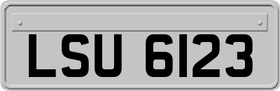 LSU6123