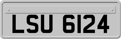 LSU6124