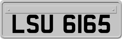 LSU6165