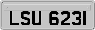 LSU6231