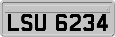 LSU6234