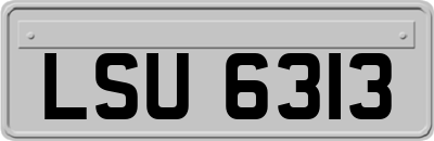 LSU6313