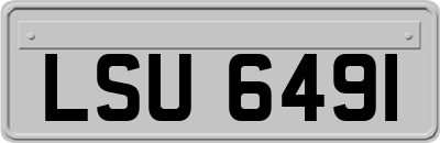 LSU6491