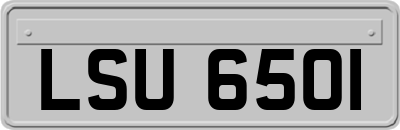 LSU6501