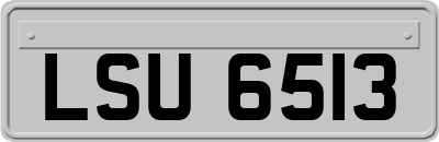 LSU6513