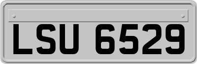 LSU6529