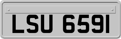 LSU6591