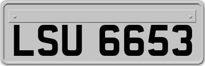 LSU6653