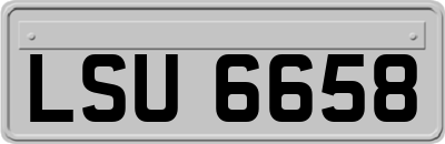 LSU6658