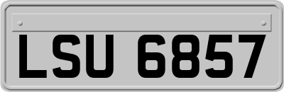 LSU6857