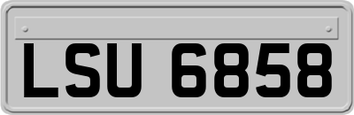 LSU6858