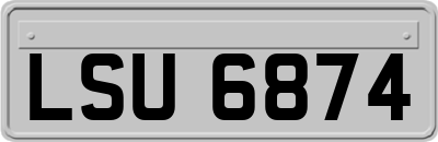 LSU6874