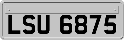 LSU6875