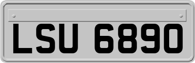 LSU6890