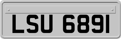LSU6891