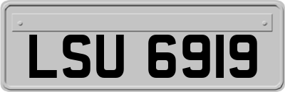 LSU6919