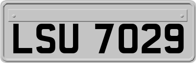 LSU7029