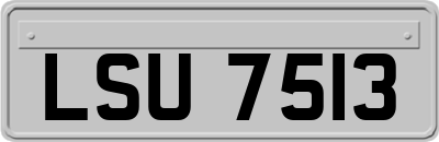 LSU7513