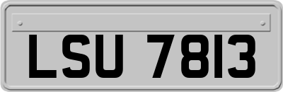 LSU7813