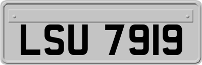 LSU7919