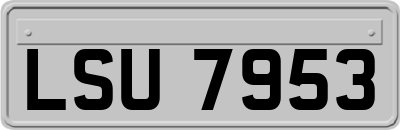 LSU7953