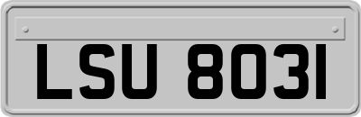 LSU8031