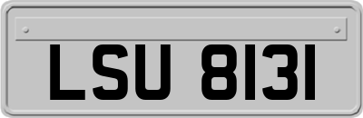 LSU8131