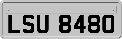 LSU8480