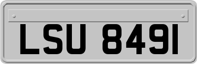 LSU8491