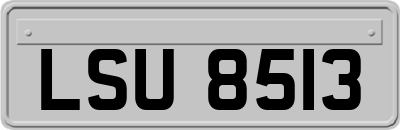 LSU8513