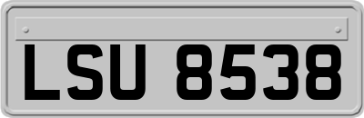 LSU8538