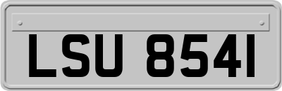 LSU8541