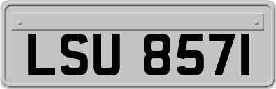 LSU8571