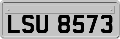 LSU8573
