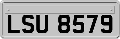 LSU8579