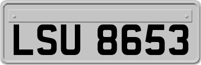 LSU8653
