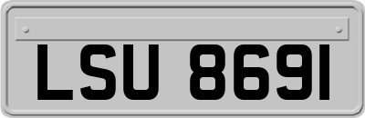 LSU8691