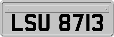 LSU8713