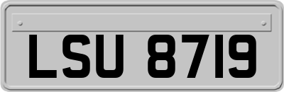 LSU8719