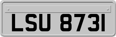 LSU8731