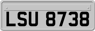 LSU8738