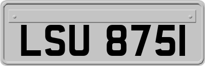 LSU8751