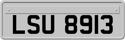 LSU8913