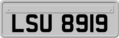 LSU8919