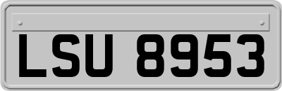LSU8953