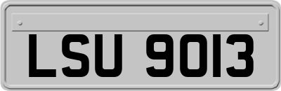 LSU9013