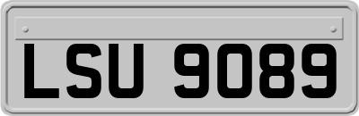 LSU9089