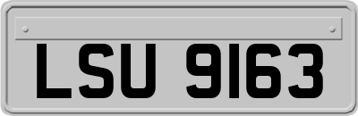 LSU9163