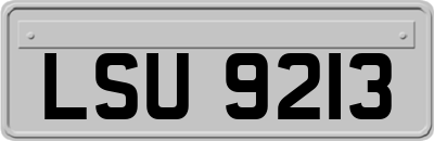 LSU9213