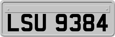 LSU9384
